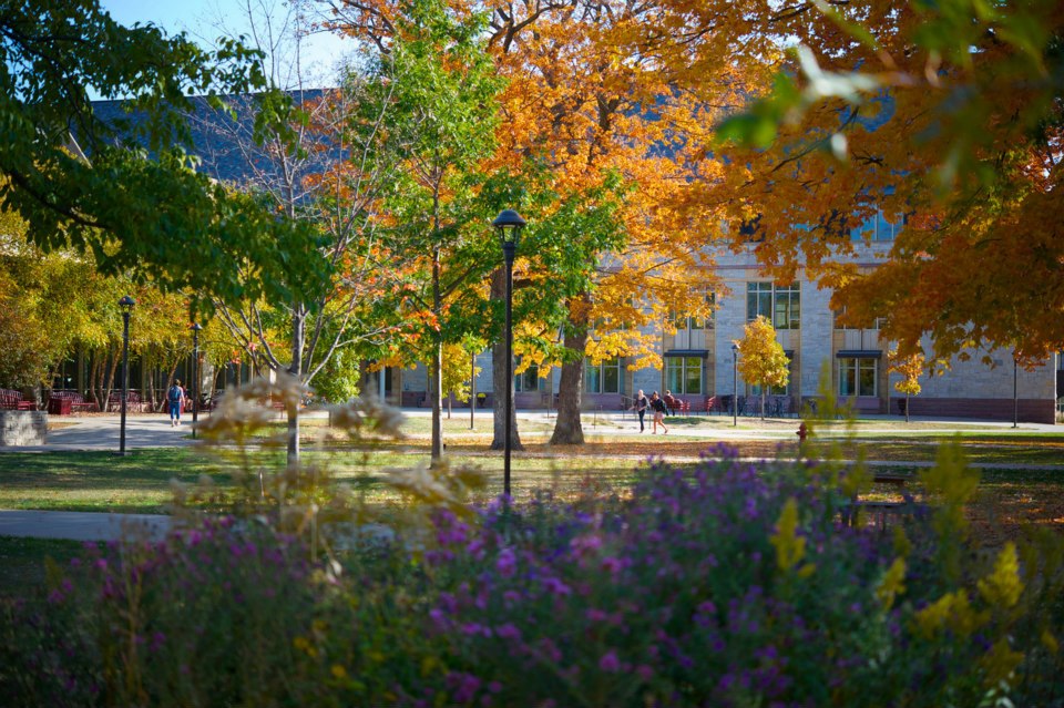 1157735_217403838419656_325507831_n